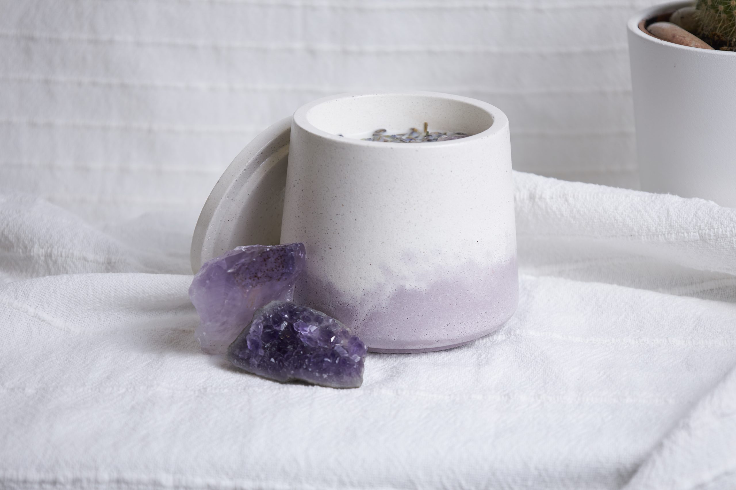 Vela de soja aromática Lavanda Silvestre 5 Vela artesanal de lavanda en envase de cemento reutilizable