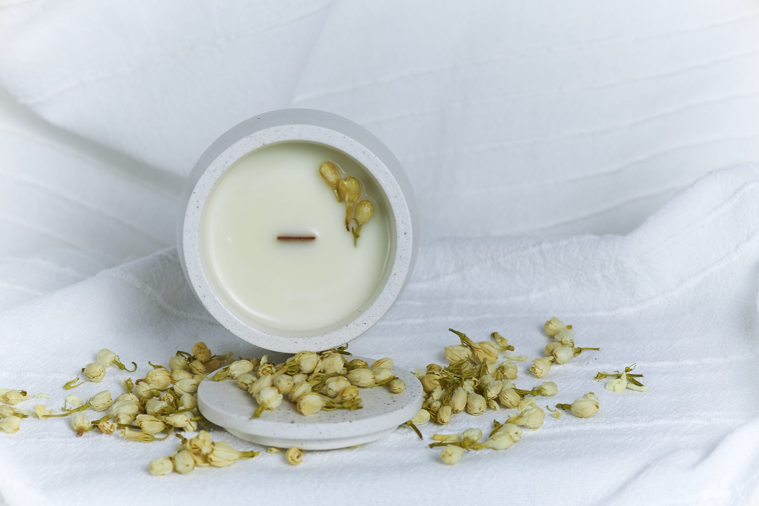 Vela de soja aromática Jazmín 4 vela artesanal de jazmín en envase de cemento con brotes naturales