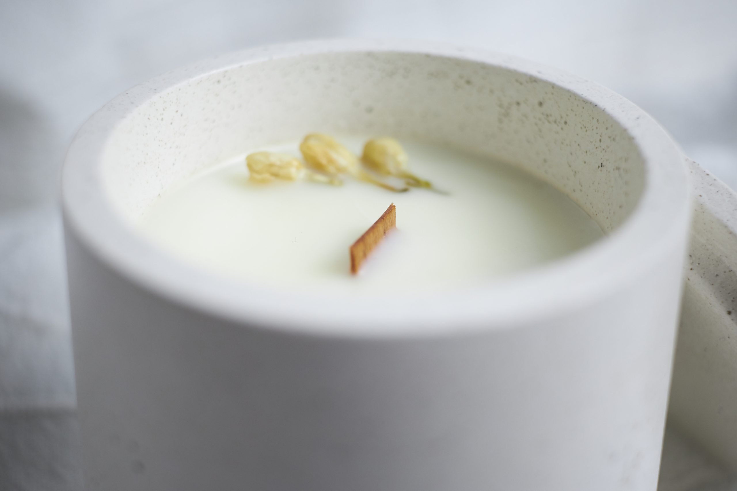 Vela de soja aromática Jazmín 5 vela artesanal de jazmín en envase de cemento con brotes naturales
